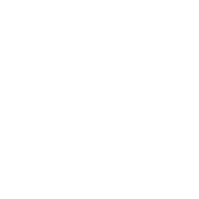Evol Studios